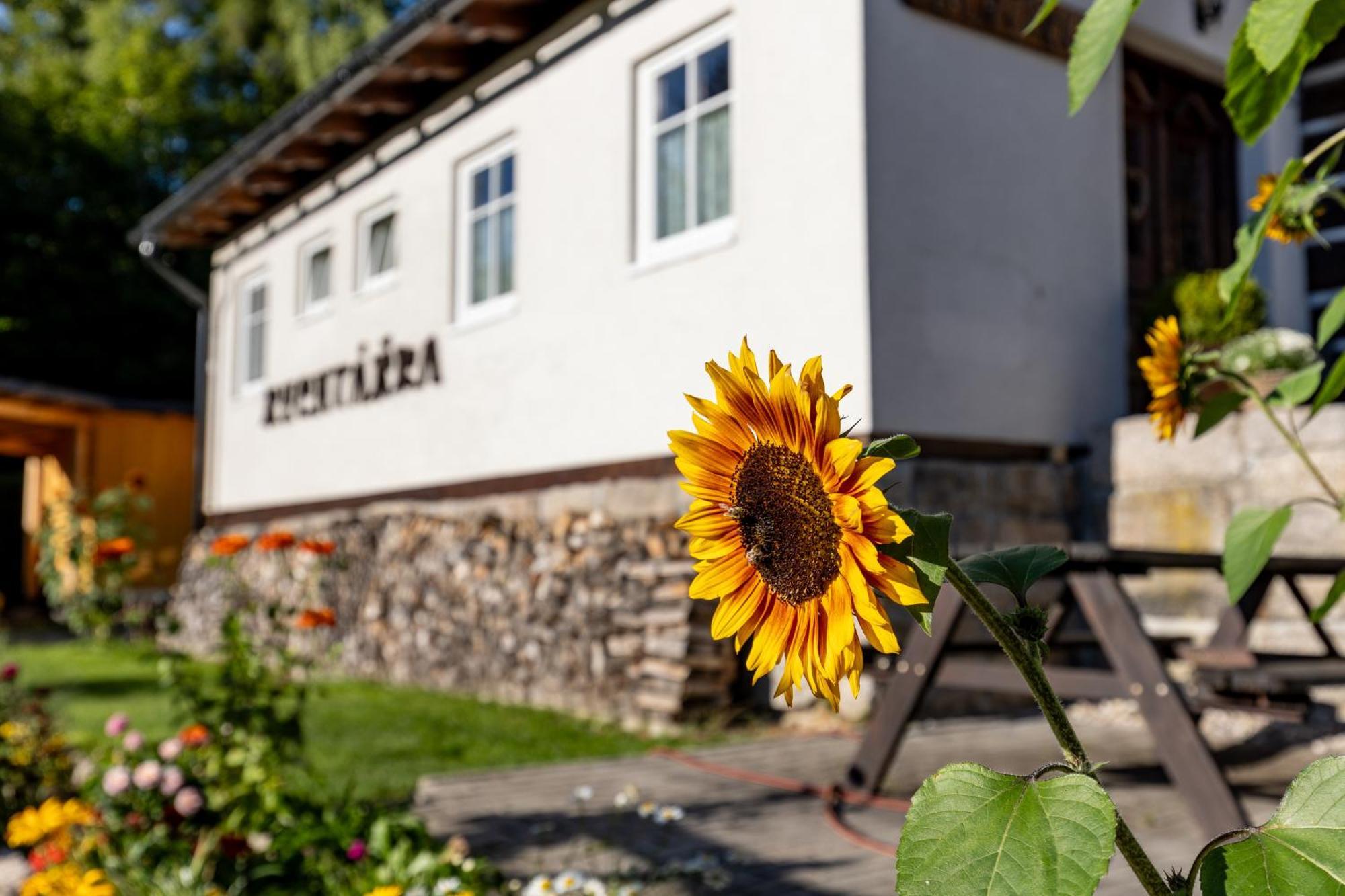 Chata Rychtarka Janov nad Nisou Buitenkant foto